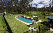 Aranyani Bison Adventure Tourist Park - Great Ocean Road Tourism 4
