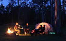 Aranyani Bison Adventure Tourist Park - Great Ocean Road Tourism 2