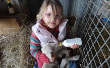 Barcoos Farmstays Bathurst - Great Ocean Road Tourism 0