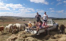 Barcoos Farmstays Bathurst - Great Ocean Road Tourism 1