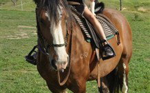 Barcoos Farmstays Bathurst - Great Ocean Road Tourism 3