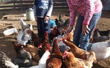 Barcoos Farmstays Bathurst - Great Ocean Road Tourism 5