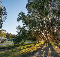 Delicate campground - Great Ocean Road Tourism