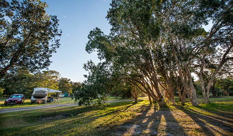 Delicate Campground - Great Ocean Road Tourism 0