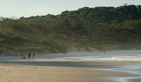 Delicate Campground - Great Ocean Road Tourism 1