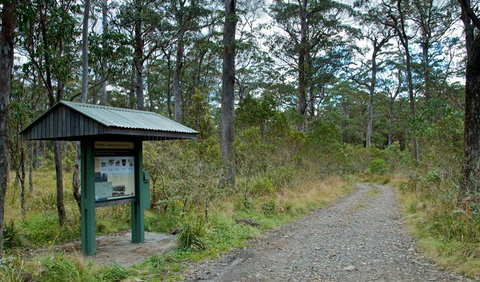 Devils Hole Campground And Picnic Area - Great Ocean Road Tourism 1