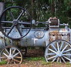 Dingo Tops campground - Great Ocean Road Tourism