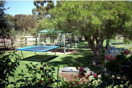 Tarcutta Halfway Motor Inn/Horse Hotel - Great Ocean Road Tourism 5