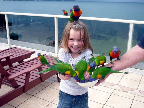 The Mitchells Waterfront Bed & Breakfast - Great Ocean Road Tourism 3