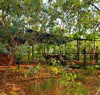 Arnhemland Barramundi Nature Lodge - Great Ocean Road Tourism