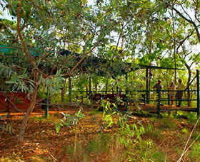 Arnhemland Barramundi Nature Lodge - Great Ocean Road Tourism 0