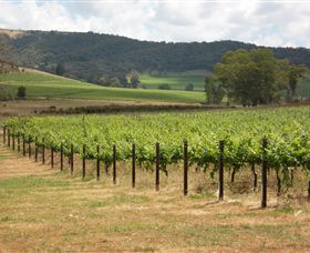 Acacia Park Farm House - Great Ocean Road Tourism 7