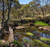 Junction Pools campground - Great Ocean Road Tourism