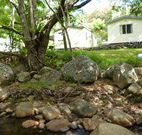 Mt Warning Rainforest Park - Great Ocean Road Tourism