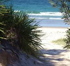 Myola Tourist Resort Caravan Park - Great Ocean Road Tourism