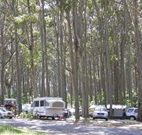Mystery Bay Camping Area - Great Ocean Road Tourism