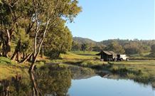 Widgee Murra - Great Ocean Road Tourism 4