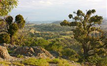 Widgee Murra - Great Ocean Road Tourism 6