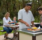 Port Stephens Treescape - Great Ocean Road Tourism