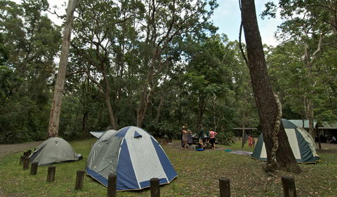 Sheepstation Creek Campground - Great Ocean Road Tourism 2