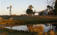 Warreen Farmstay Rural Accommodation - Great Ocean Road Tourism 1