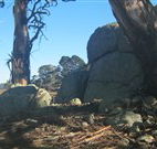 Warreen Farmstay Rural Accommodation - Great Ocean Road Tourism