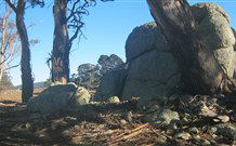 Warreen Farmstay Rural Accommodation - Great Ocean Road Tourism 0
