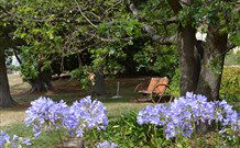 Warreen Farmstay Rural Accommodation - Great Ocean Road Tourism 3