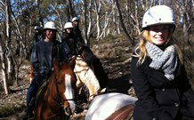 JE Resort (Jindabyne Equestrian Resort) - Great Ocean Road Tourism 1