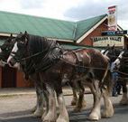 Araluen Valley Hotel - Araluen - Great Ocean Road Tourism
