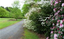 Laurel Hill Forest Lodge - Tumbarumba - Great Ocean Road Tourism 1