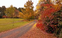 Laurel Hill Forest Lodge - Tumbarumba - Great Ocean Road Tourism 3