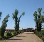 Newell Motor Inn - Narrandera - Great Ocean Road Tourism