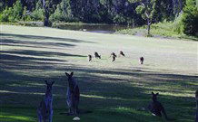 Sussex Shores RSL Units - Sussex Inlet - Great Ocean Road Tourism 6