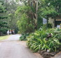 Tamborine Mountain Caravan  Camping - Great Ocean Road Tourism