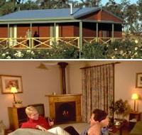 Twin Trees Country Cottages - Great Ocean Road Tourism