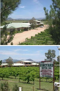 Mudgee Vineyard Motor Inn - Great Ocean Road Tourism 0