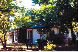 Forest Lodge - Great Ocean Road Tourism 0
