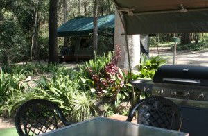 Tamborine Mountain Caravan & Camping - Great Ocean Road Tourism 2