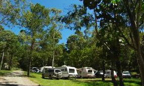 Tamborine Mountain Caravan & Camping - Great Ocean Road Tourism 3
