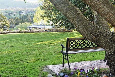 Omeo Motel - Great Ocean Road Tourism 5
