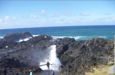 Kiama Ocean View Motor Inn - Great Ocean Road Tourism 1