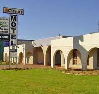 Citrus Motel - Great Ocean Road Tourism
