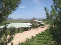 Mudgee Vineyard Motor Inn - Great Ocean Road Tourism 1