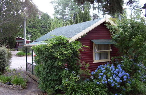 Cedar Lodge Cabins - Great Ocean Road Tourism 0