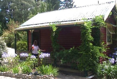 Cedar Lodge Cabins - Great Ocean Road Tourism 1