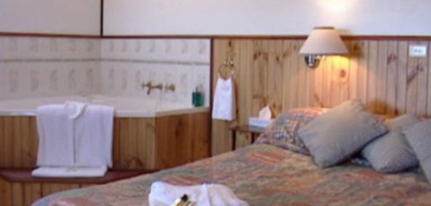 Cedar Lodge Cabins - Great Ocean Road Tourism 2