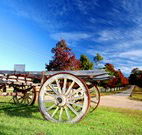 The Oaks Ranch and Country Club - Mossy Point - Great Ocean Road Tourism