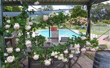 Valley View Motel Murrurundi - Murrurundi - Great Ocean Road Tourism 2