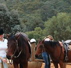 Clark Bay Cottages - Great Ocean Road Tourism